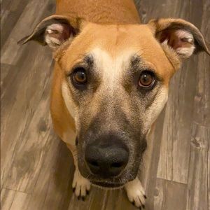 Meet your Posher, Zandi